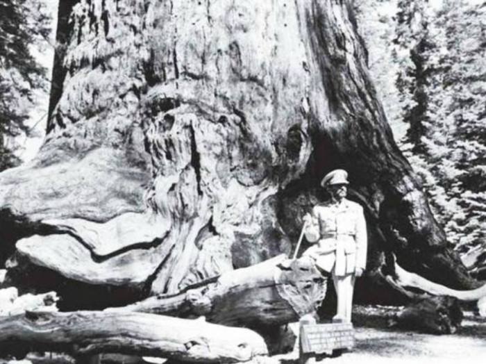 Emperor Haile Selassie I in the Redwoods